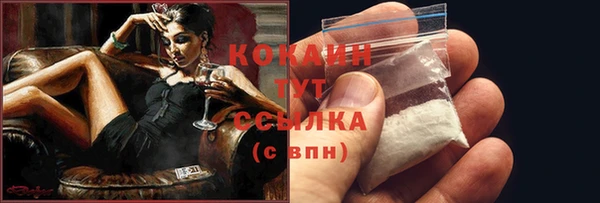 PSILOCYBIN Белокуриха