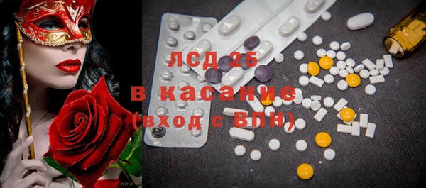 PSILOCYBIN Белокуриха