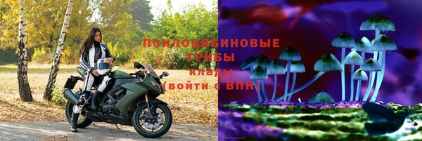 PSILOCYBIN Белокуриха
