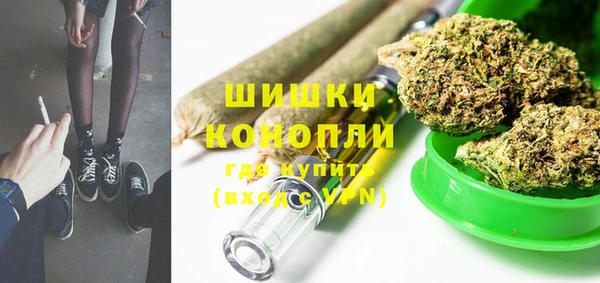 PSILOCYBIN Белокуриха