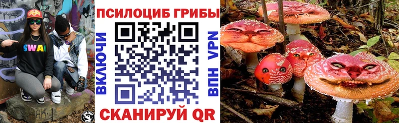 Псилоцибиновые грибы GOLDEN TEACHER  Красноперекопск 