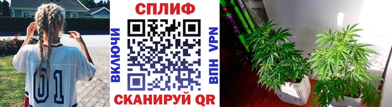 Шишки марихуана OG Kush Красноперекопск